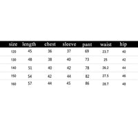 Child Boys Clothing Outfit Children Clothes Suits Casual Sport Cotton Pullover Sweatshirt+Pants 2Pcs/Sets Kid Tracksuits 5-13T