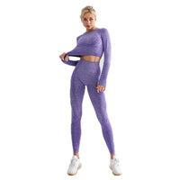 2023 Seamless Yoga Suit Set Women's Yoga Top High Waist Hip Lift Sports Gym Tights